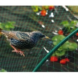 Filet de protection oiseaux BIRDNET